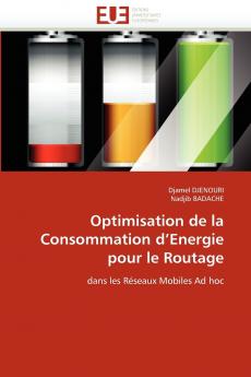 Optimisation de la consommation d energie pour le routage