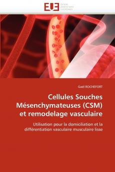 Cellules souches mésenchymateuses (csm) et remodelage vasculaire