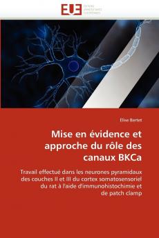 Mise en évidence et approche du rôle des canaux bkca