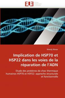 Implication de hsp70 et hsp22 dans les voies de la réparation de l''adn