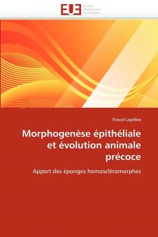 Morphogenèse épithéliale et évolution animale précoce