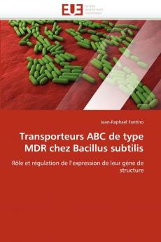 Transporteurs abc de type mdr chez bacillus subtilis