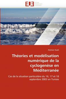 Théories et modélisation numérique de la cyclogenèse en méditerranée