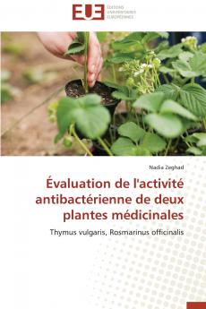 Évaluation de l'activité antibactérienne de deux plantes médicinales