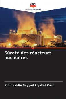 Sûreté des réacteurs nucléaires