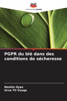 PGPR du blé dans des conditions de sécheresse