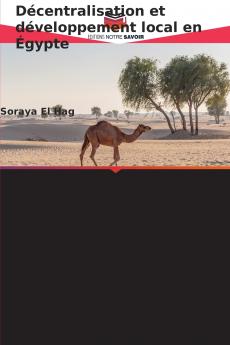 Décentralisation et développement local en Égypte