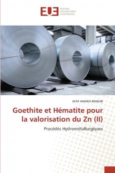 Goethite et Hématite pour la valorisation du Zn (II)