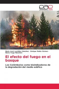 El efecto del fuego en el bosque