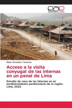 Acceso a la visita conyugal de las internas en un penal de Lima