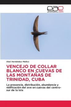 VENCEJO DE COLLAR BLANCO EN CUEVAS DE LAS MONTAÑAS DE TRINIDAD CUBA