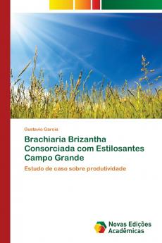 Brachiaria Brizantha Consorciada com Estilosantes Campo Grande