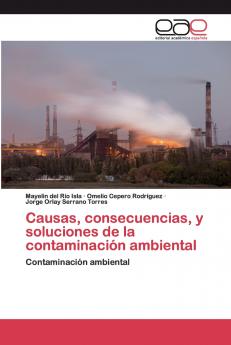 Causas consecuencias y soluciones de la contaminación ambiental