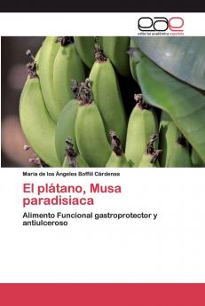 El plátano Musa paradisiaca