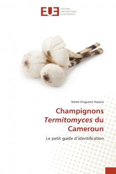 Champignons Termitomyces du Cameroun