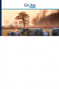 ????????? - ???????? ?????????? ??????????????? ????? ????????? ??????? ??????? ??????