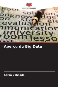 Aperçu du Big Data