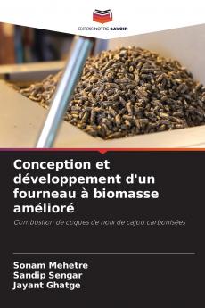 Conception et développement d'un fourneau à biomasse amélioré