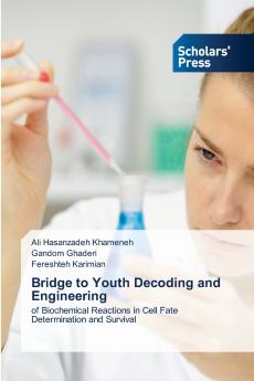 Bridge to Youth Decoding and Engineering