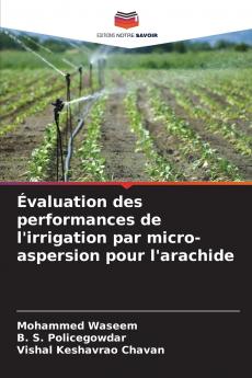 Évaluation des performances de l'irrigation par micro-aspersion pour l'arachide