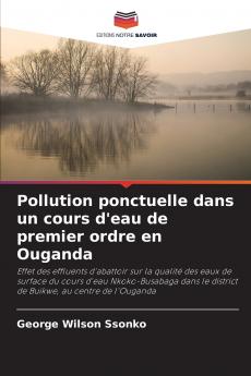 Pollution ponctuelle dans un cours d'eau de premier ordre en Ouganda