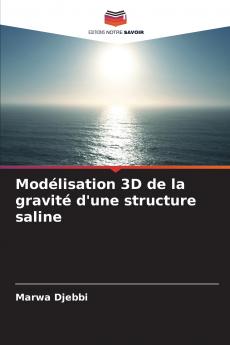 Modélisation 3D de la gravité d'une structure saline