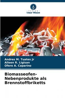 Biomasseofen-Nebenprodukte als Brennstoffbriketts