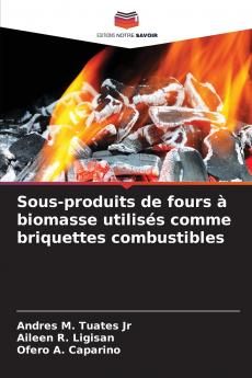 Sous-produits de fours à biomasse utilisés comme briquettes combustibles