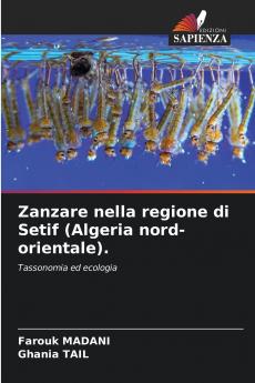 Zanzare nella regione di Setif (Algeria nord-orientale).