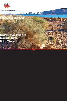 Cartographie avancée de l'érosion par la fusion des SIG et des réseaux neuronaux