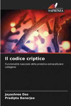 Il codice criptico
