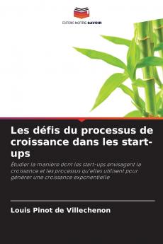Les défis du processus de croissance dans les start-ups