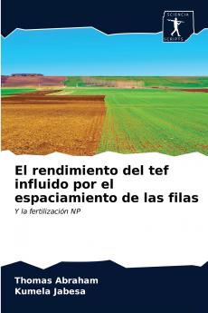 El rendimiento del tef influido por el espaciamiento de las filas