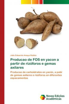 Producao de FOS en yacon a partir de rizóforos e gemas axilares