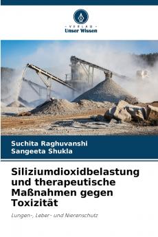 Siliziumdioxidbelastung und therapeutische Maßnahmen gegen Toxizität