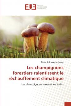 Les champignons forestiers ralentissent le réchauffement climatique