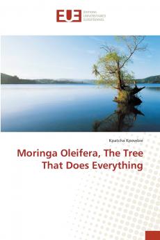 Moringa Oleifera The Tree That Does Everything