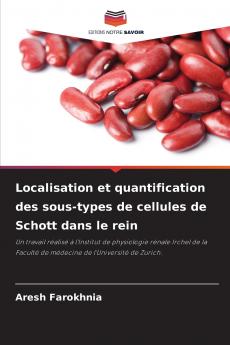 Localisation et quantification des sous-types de cellules de Schott dans le rein