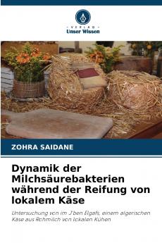 Dynamik der Milchsäurebakterien während der Reifung von lokalem Käse