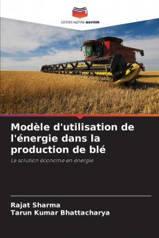 Modèle d'utilisation de l'énergie dans la production de blé
