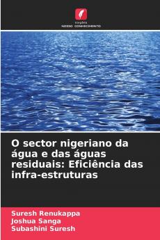 O sector nigeriano da água e das águas residuais