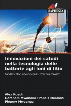 Innovazioni dei catodi nella tecnologia delle batterie agli ioni di litio
