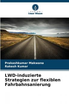 LWD-induzierte Strategien zur flexiblen Fahrbahnsanierung