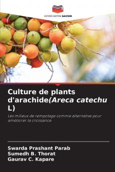 Culture de plants d'arachide(Areca catechu L)