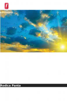 Modelos de diplomacia pública contemporânea