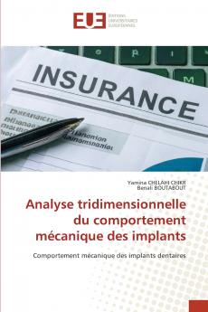 Analyse tridimensionnelle du comportement mécanique des implants