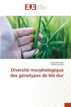 Diversité morphologique des génotypes de blé dur