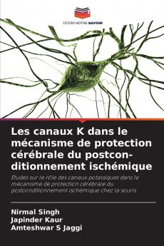 Les canaux K dans le mécanisme de protection cérébrale du postcon-ditionnement ischémique