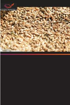 Badanie warunków bezpieczeństwa i higieny pracy w młynie ryżowym