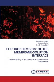 ELECTROCHEMISTRY OF THE MEMBRANE-SOLUTION INTERFACE